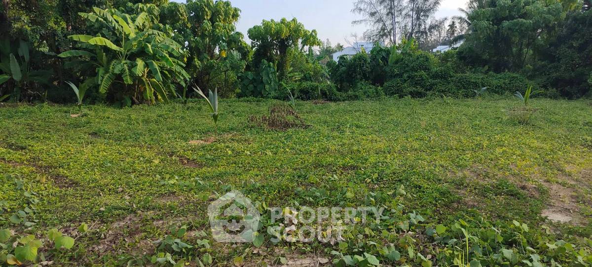 รูป ที่ดินสำหรับปล่อยขาย 2,216 ตารางเมตร แถว ใกล้ แหลม ยามู (ID 1834430) - รูปที่ 5/5