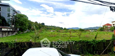 ที่ดิน ป่าตอง : ที่ดินสำหรับปล่อยขาย 8,800 ตารางเมตร แถว ใน ป่าตอง (ID 1458297)