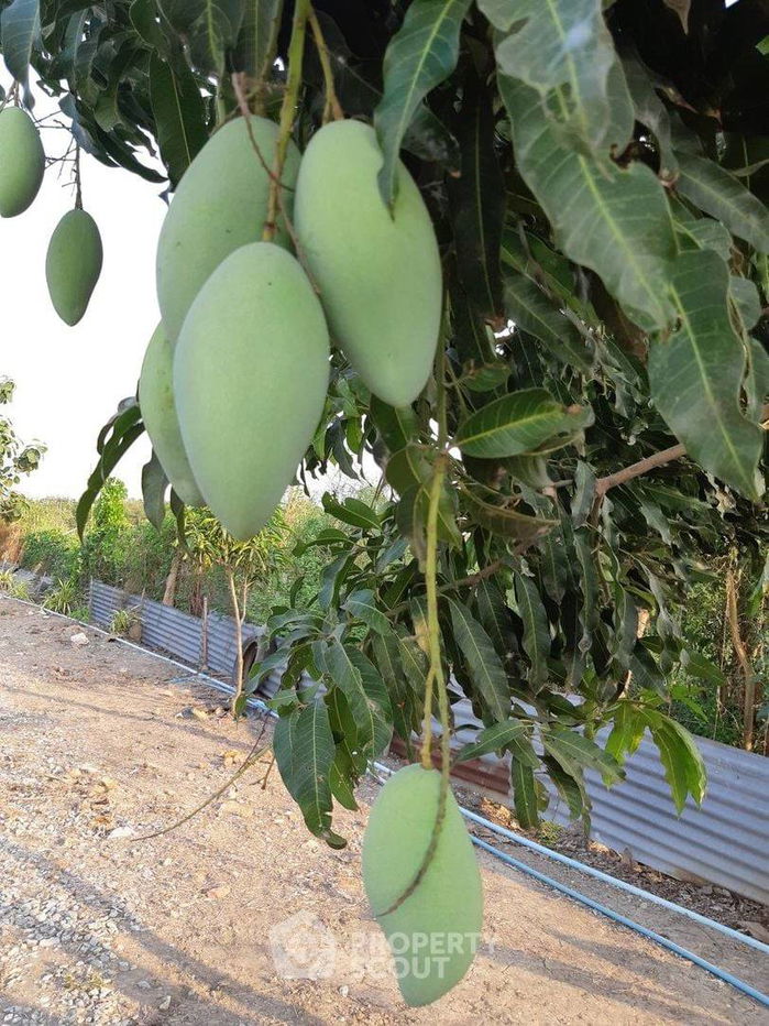 รูป ที่ดินสำหรับปล่อยขาย 15,772 ตารางเมตร แถว ใน นิลเพชร (ID 1397101) - รูปที่ 13/16