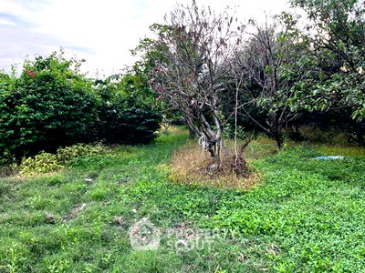 ที่ดิน ม.เทคโนโลยีมหานคร : ที่ดินสำหรับปล่อยขาย 7,296 ตารางเมตร แถว ใน โคกแฝด (ID 1366313)