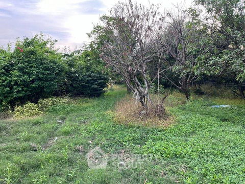 ที่ดินสำหรับปล่อยขาย 7,296 ตารางเมตร แถว ใน โคกแฝด (ID 1366313)