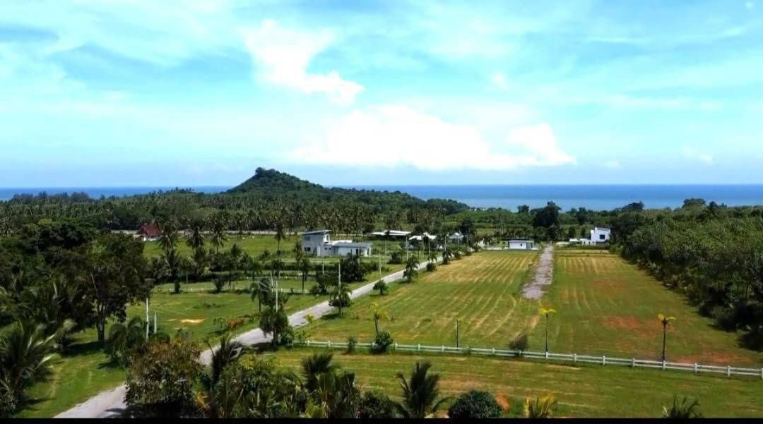 picture  Ang Thong, Thap Sakae District, Prachuap Khiri Khan Province, 91-114-141 sq m, 16,900per sq m, 10% contract, 20,000-30,000 baht per month, 18 months,  - 7/23