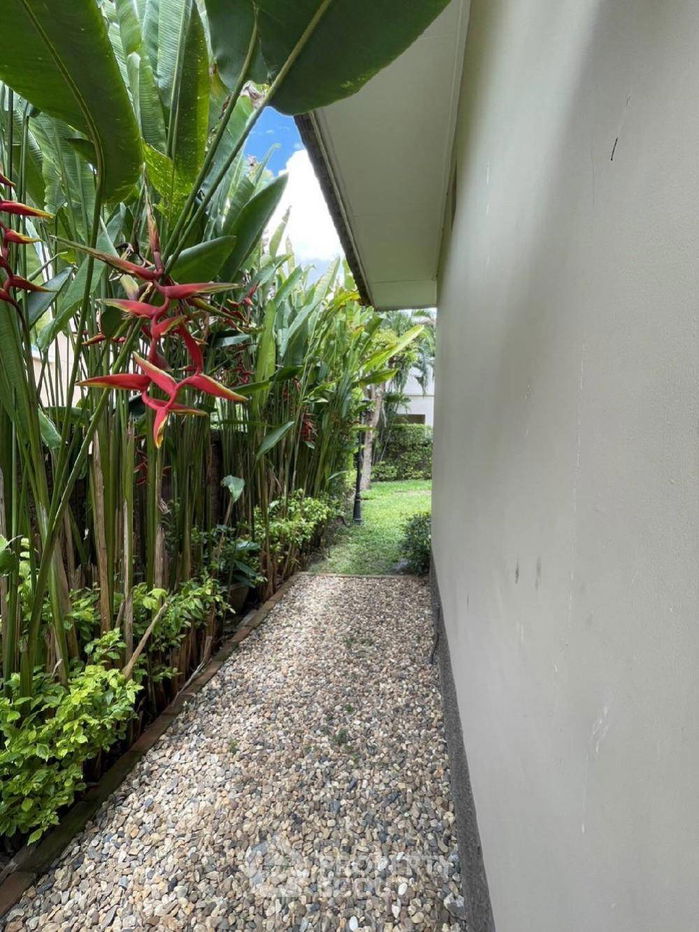 รูป บ้าน 5-ห้องนอน ใน สันผีเสื้อ (ID 1521501) - รูปที่ 16/28