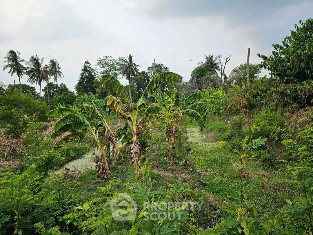picture 6,668 m² Land for Sale in Bang Khanun (ID 1530175) - 5/9