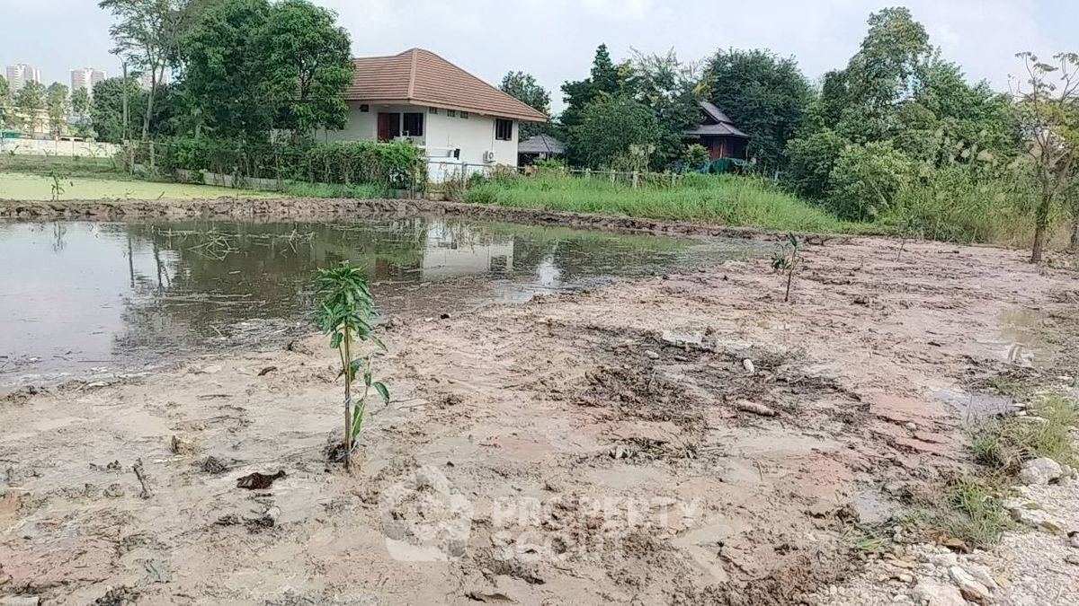 รูป ที่ดินสำหรับปล่อยขาย 1,604 ตารางเมตร แถว ใน บ้านใหม่ (ID 2116254) - รูปที่ 3/4