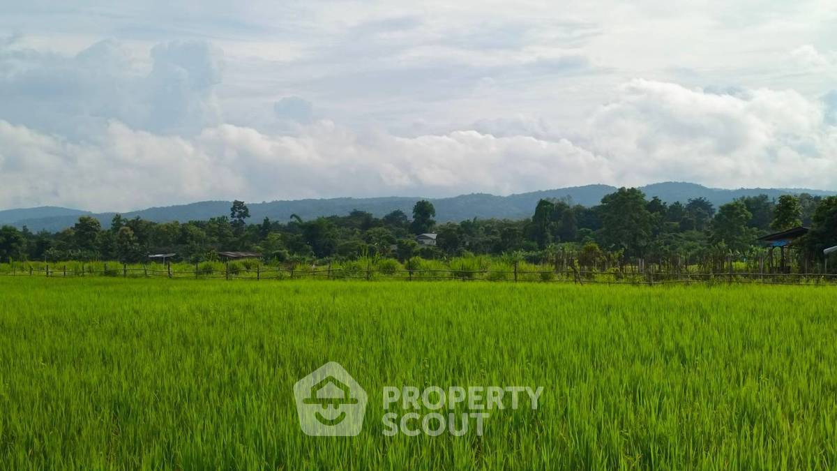 รูป ที่ดินสำหรับปล่อยขาย 8,048 ตารางเมตร แถว ใน สบเปิง (ID 1540121) - รูปที่ 2/8