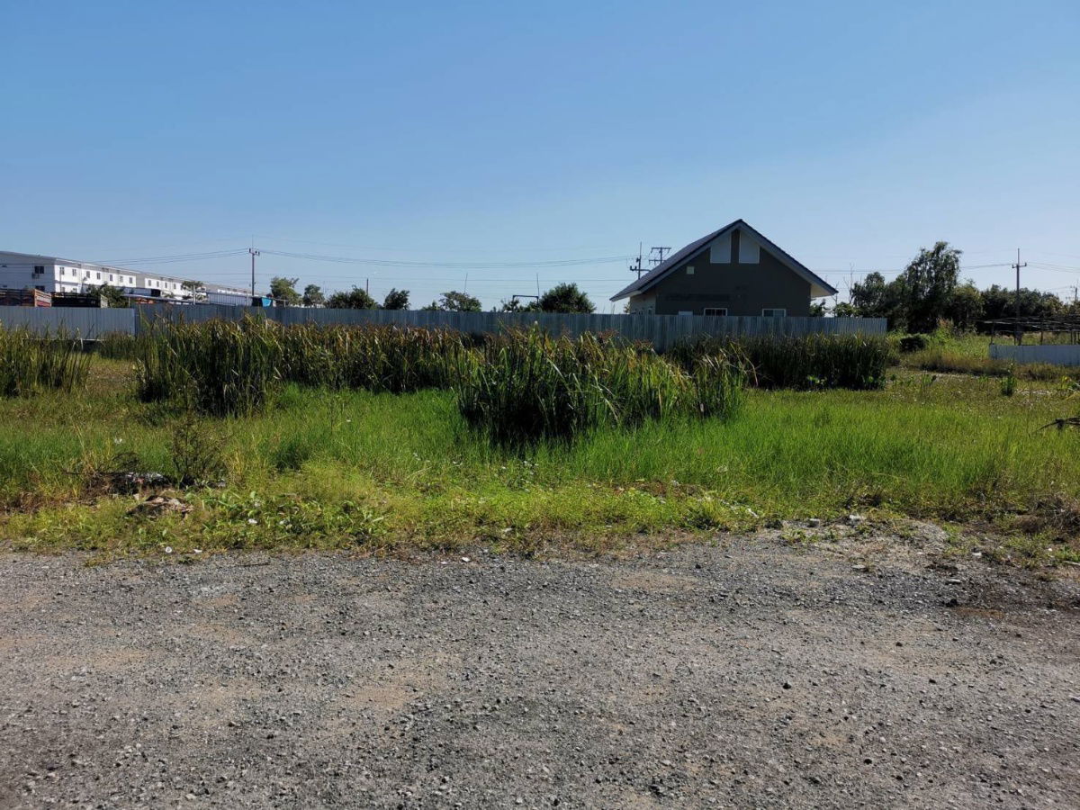 รูป ที่ดินคลอว6คลองหลวงปทุมธานีซ.คึกคฤทธิ์ใกล้แยกหนองเสือ1ไร่3800000ย่านรังสิตธัญบุรีสะดวกติดถนนลำลูกกาวังน้อยใกล้ดูโฮมค6บิ๊กซีค6ทำกิจการเก็งกำไร - รูปที่ 5/18