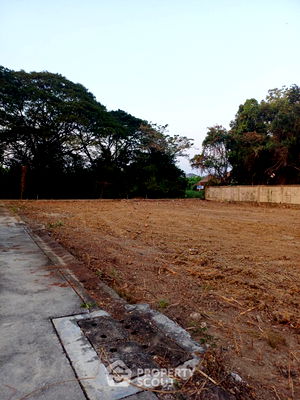 เช่าที่ดิน ม.สยาม : ที่ดินสำหรับปล่อยเช่า 1,600 ตารางเมตร แถว ใน บางระมาด (ID 1474381)