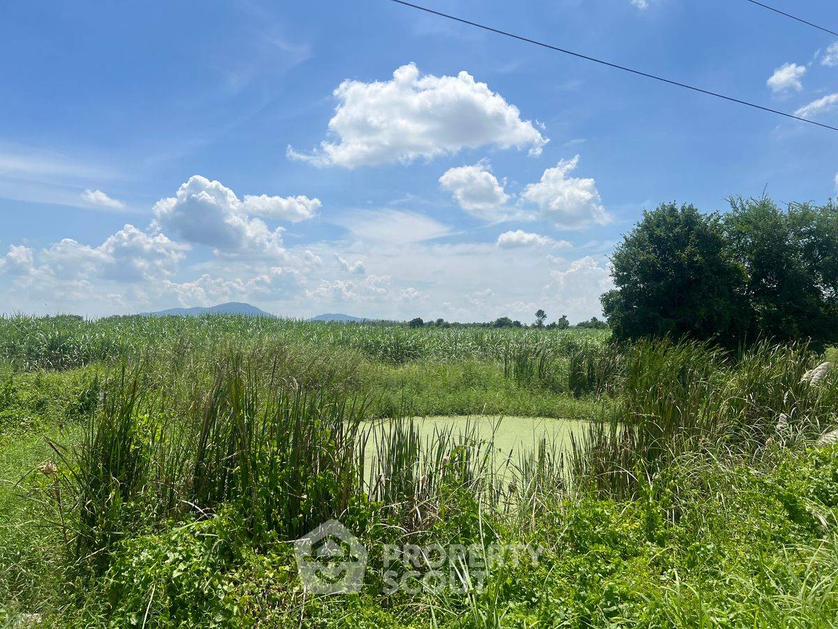 รูป ที่ดินสำหรับปล่อยขาย 42,535 ตารางเมตร แถว ใน หนองชาก (ID 2092531) - รูปที่ 11/13