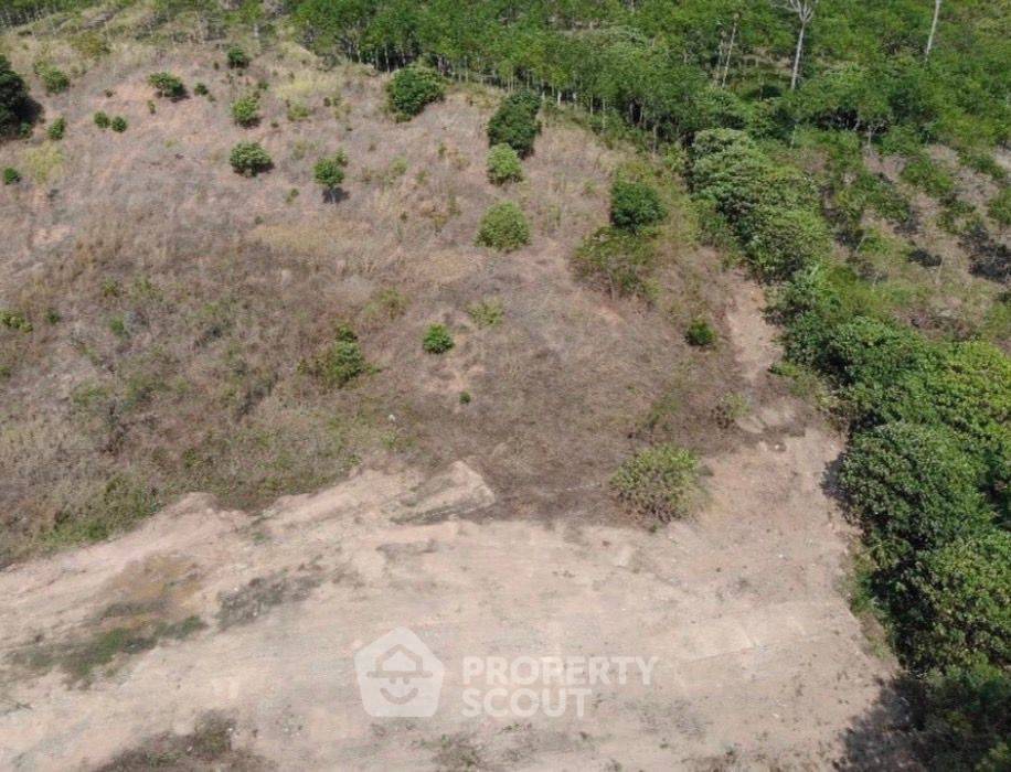 รูป ที่ดินสำหรับปล่อยขาย 9,500 ตารางเมตร แถว ใน ราไวย์ (ID 2096213) - รูปที่ 4/5