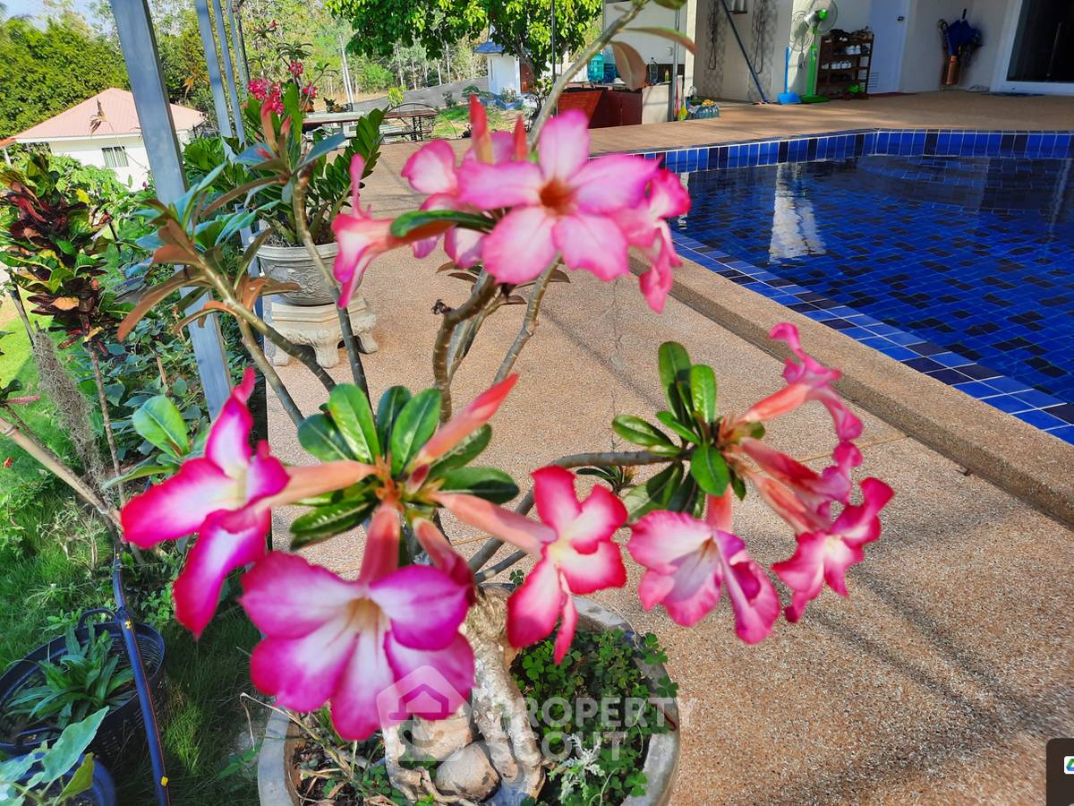 รูป บ้าน 4-ห้องนอน ใน ท่าตะคร้อ (ID 1511085) - รูปที่ 19/30