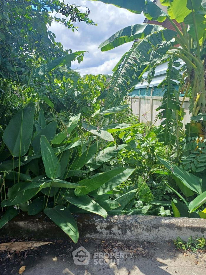 รูป ที่ดินสำหรับปล่อยขาย 340 ตารางเมตร แถว ใน สันกำแพง (ID 1379150) - รูปที่ 4/10