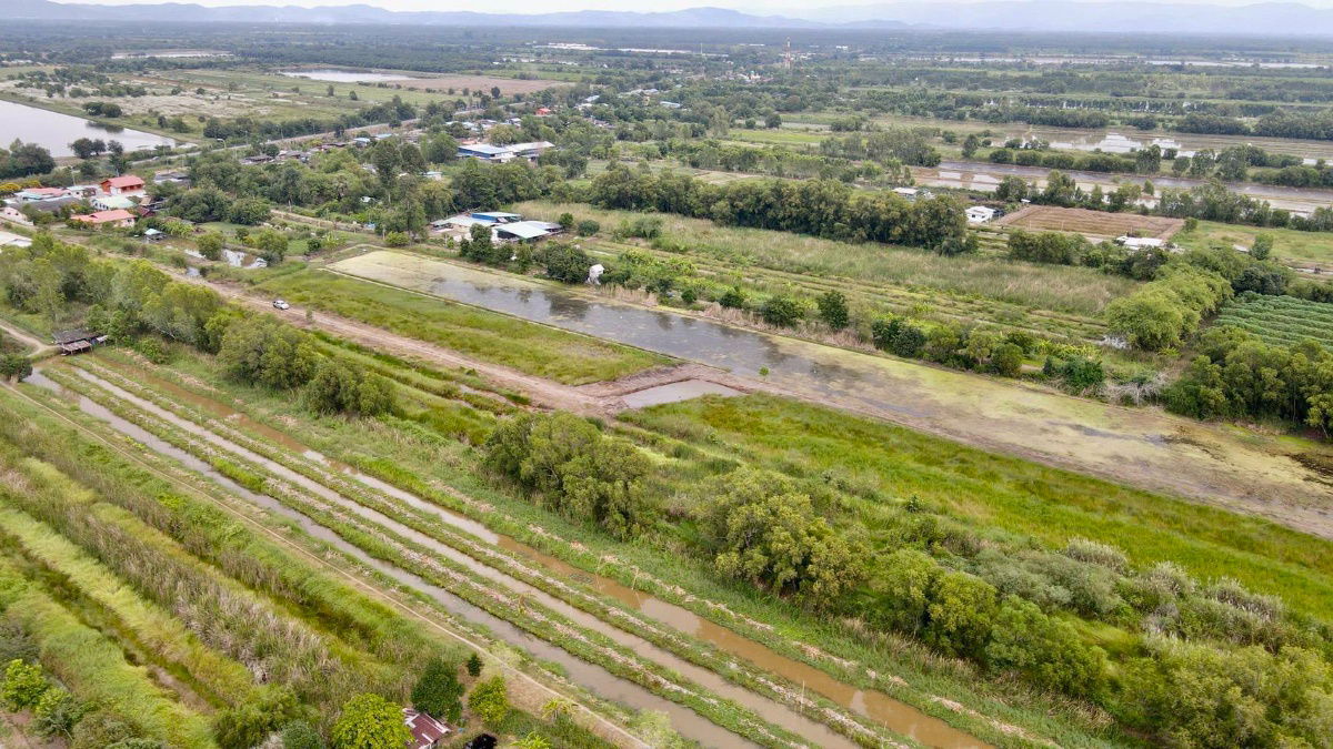 รูป คลอง13หนองหมูวิหารแดงสระบุรีมี1-2-85ไร่940000ใกล้ตลาดเซเว่นเส้นรังสิต22กมวัดใหม่เทพนิมิตร800มอ.หนองแค8กมอ.วิหารแดง12กมปั้มพีที1กมเงินสดจอง20000 - รูปที่ 11/19