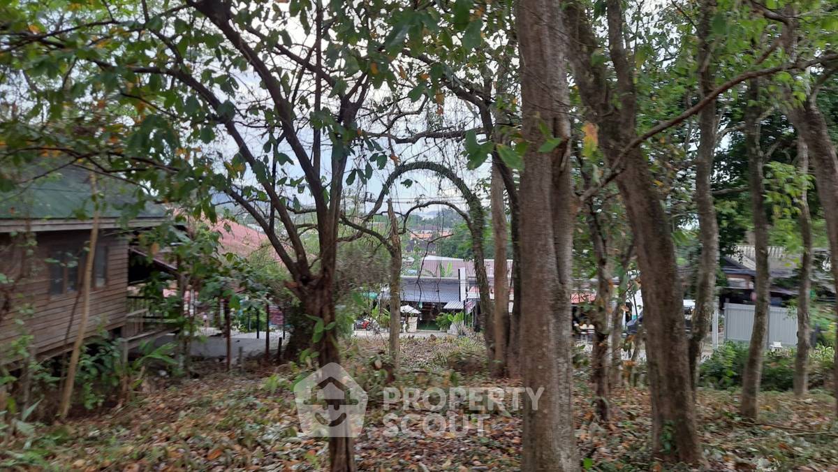 รูป ที่ดินสำหรับปล่อยขาย 2,811.6 ตารางเมตร แถว ใกล้ หาดในหาน (ID 2107889) - รูปที่ 5/6