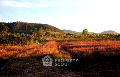 ที่ดิน แม่อาย เชียงใหม่ : ที่ดินสำหรับปล่อยขาย 38,400 ตารางเมตร แถว ใน แม่นาวาง (ID 1971302)