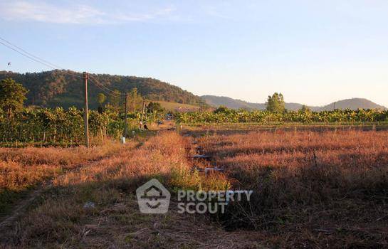 รูป ที่ดินสำหรับปล่อยขาย 38,400 ตารางเมตร แถว ใน แม่นาวาง (ID 1971302) - รูปที่ 1/4