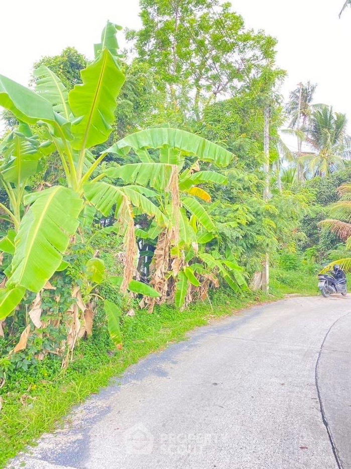 รูป ที่ดินสำหรับปล่อยขาย 5,618 ตารางเมตร แถว ใน ลิปะน้อย (ID 2084246) - รูปที่ 5/7