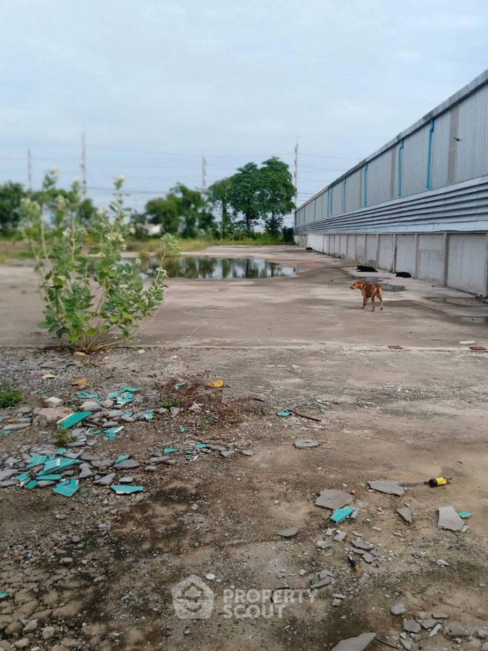 picture 1,600 m² Land for Rent in Bang Sao Thong (ID 1708909) - 2/5