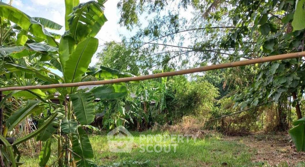 รูป บ้าน 3-ห้องนอน ใน แช่ช้าง (ID 1211864) - รูปที่ 9/9