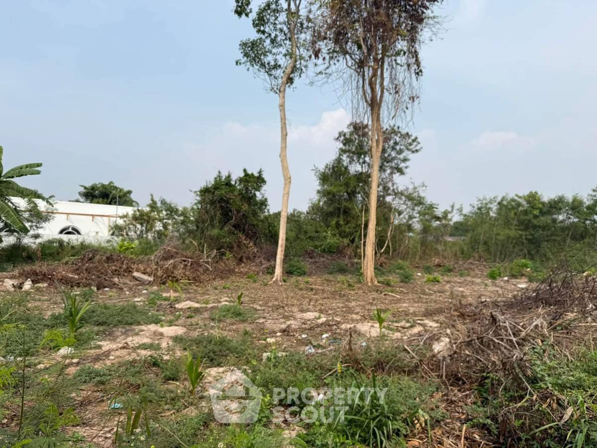 รูป ที่ดินสำหรับปล่อยขาย 420 ตารางเมตร แถว ใกล้ เมืองพัทยา (ID 2055056) - รูปที่ 2/5