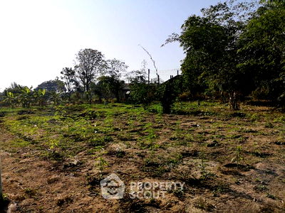 ที่ดิน วิทยาลัยเทคโนโลยีพิงค์พระนคร : ที่ดินสำหรับปล่อยขาย 10,572 ตารางเมตร แถว ใน มะขุนหวาน (ID 1750389)