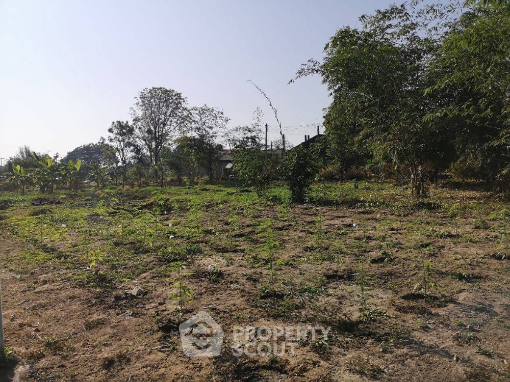 รูป ที่ดินสำหรับปล่อยขาย 10,572 ตารางเมตร แถว ใน มะขุนหวาน (ID 1750389) - รูปที่ 1/6