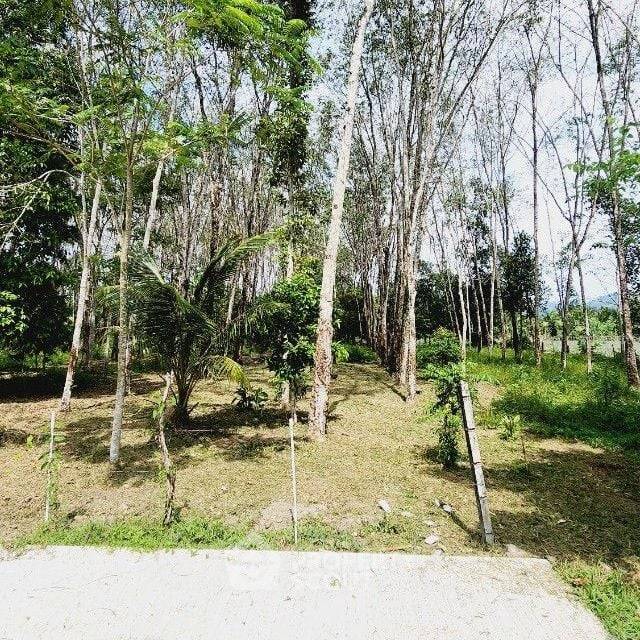 รูป ที่ดินสำหรับปล่อยขาย 1,600 ตารางเมตร แถว ใน ศรีสุนทร (ID 1383827) - รูปที่ 2/3