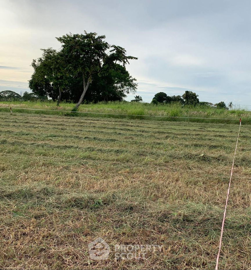 รูป ที่ดินสำหรับปล่อยขาย 1,564 ตารางเมตร แถว ใกล้ เมืองพัทยา (ID 2083012) - รูปที่ 6/11