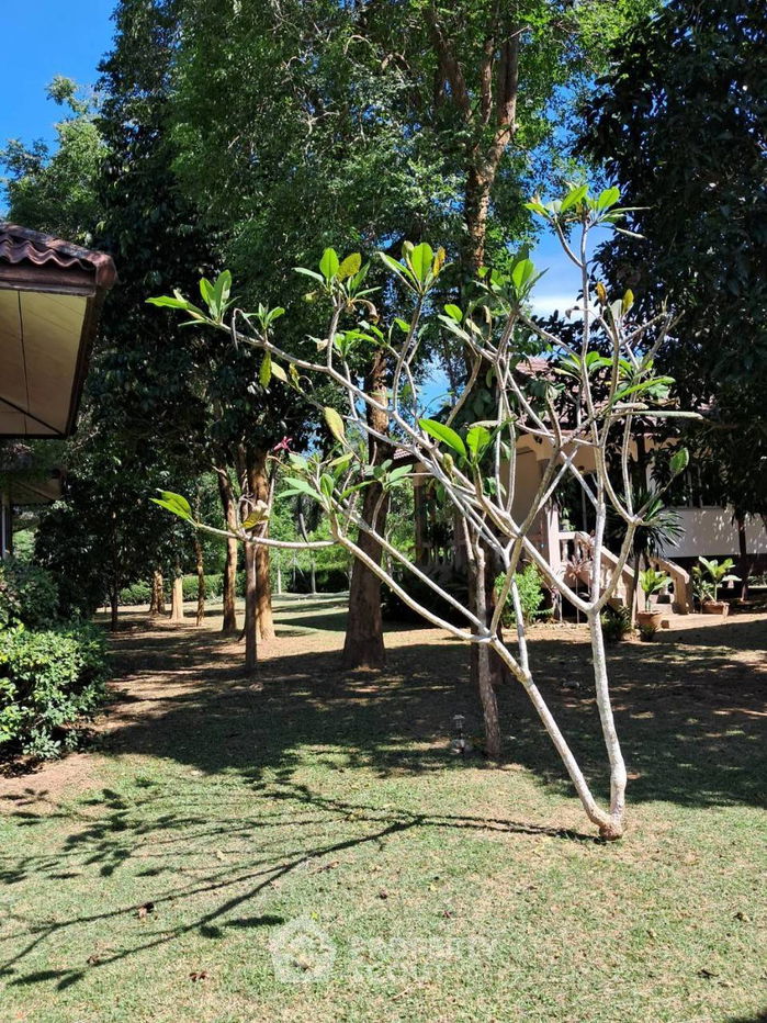 รูป ที่ดินสำหรับปล่อยขาย 8,000 ตารางเมตร แถว ใน แม่น้ำ (ID 1913846) - รูปที่ 9/29