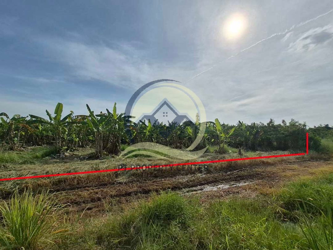 รูป ขาย ที่ดินเปล่า 1-1-33 ไร่ ( 533 ตร.ว. ) ซ.บึงบอน 11 ถ.รังสิต-นครนายก จ.ปทุมธานี - รูปที่ 10/17