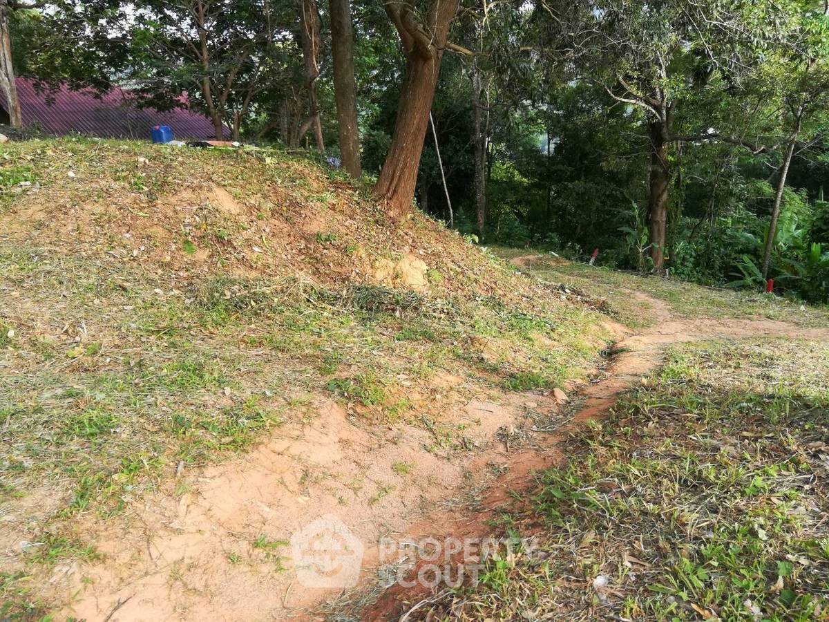 รูป ที่ดินสำหรับปล่อยขาย 30,448 ตารางเมตร แถว ใน ป่าตอง (ID 2149582) - รูปที่ 13/19