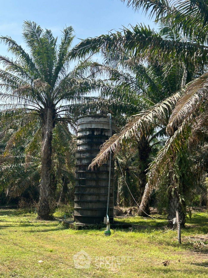 รูป ที่ดินสำหรับปล่อยขาย 32,000 ตารางเมตร แถว ใน ไร่ใหม่พัฒนา (ID 2024255) - รูปที่ 5/5