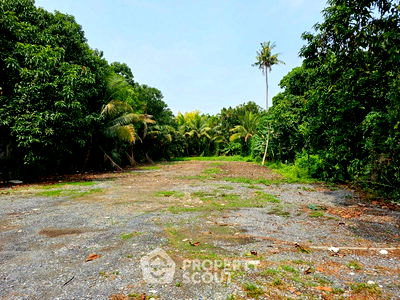 ที่ดิน MRT ไทรม้า : ที่ดินสำหรับปล่อยขาย 3,044 ตารางเมตร แถว ใน ไทรม้า (ID 2089614)