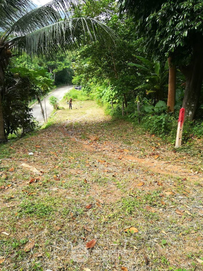 รูป ที่ดินสำหรับปล่อยขาย 30,448 ตารางเมตร แถว ใน ป่าตอง (ID 2149582) - รูปที่ 18/19