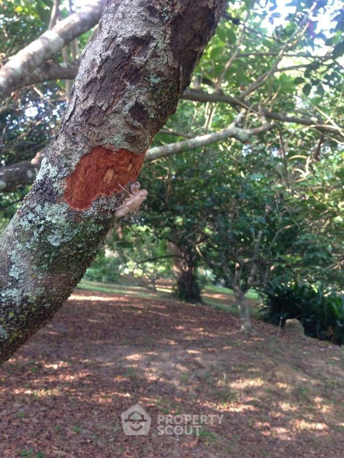 รูป ที่ดินสำหรับปล่อยขาย 5,808 ตารางเมตร แถว ใน ตลาดใหญ่ (ID 1891381) - รูปที่ 6/8