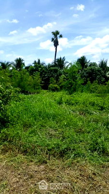 ที่ดิน บ้านข้างวัด : ที่ดินสำหรับปล่อยขาย 8,572 ตารางเมตร แถว ใกล้ สนามบินเชียงใหม่ (ID 1960106)