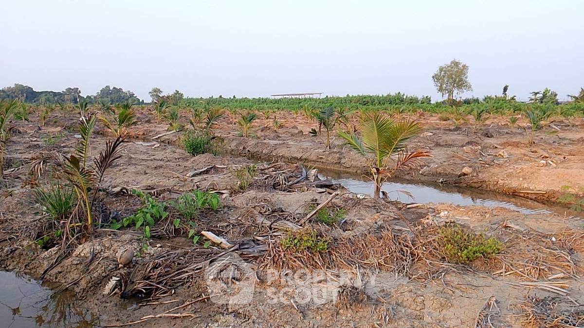 รูป ที่ดินสำหรับปล่อยขาย 96,000 ตารางเมตร แถว ใน หนองปลาไหล (ID 1922416) - รูปที่ 1/5