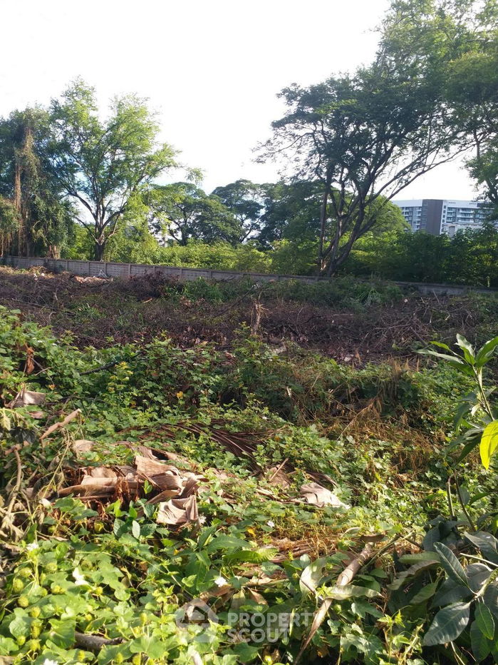 รูป ที่ดินสำหรับปล่อยขาย 1,957.2 ตารางเมตร แถว ใกล้ สนามบินเชียงใหม่ (ID 1300591) - รูปที่ 2/7