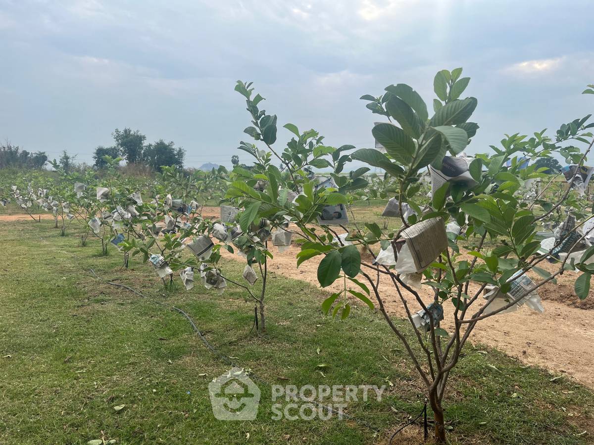 รูป ที่ดินสำหรับปล่อยขาย 8,000 ตารางเมตร แถว ใน วังก์พง (ID 1532197) - รูปที่ 4/4