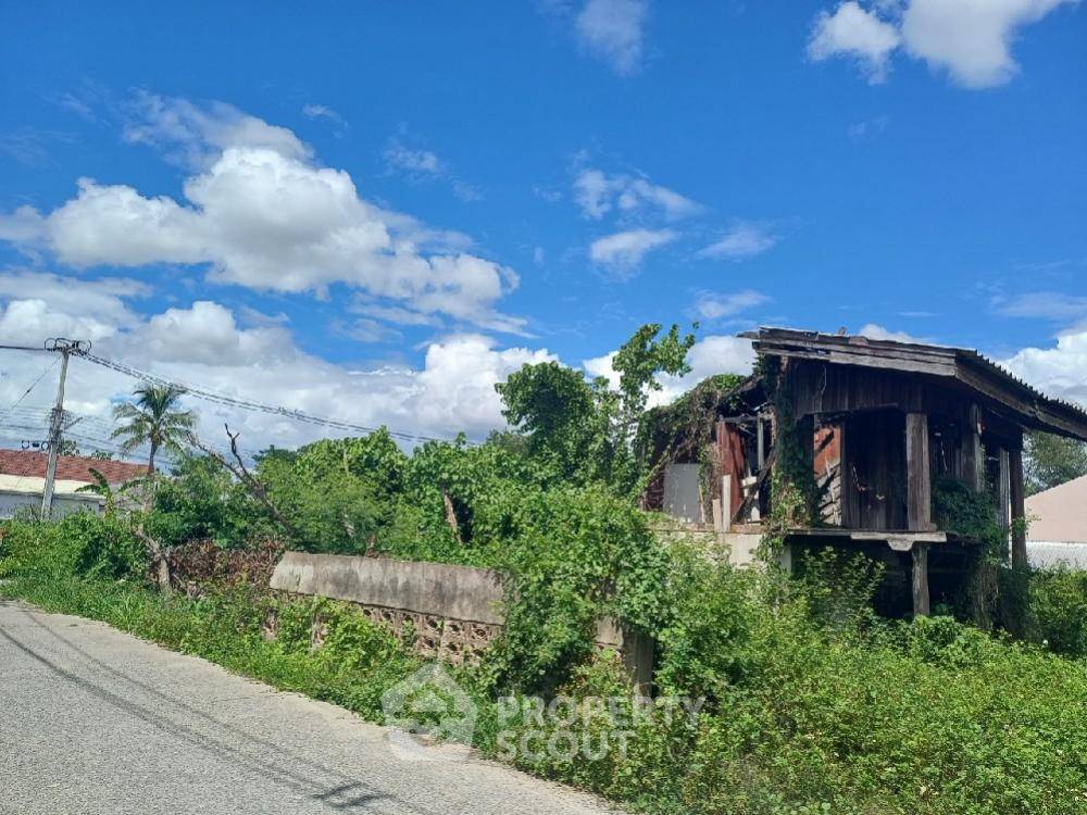 รูป บ้าน 2-ห้องนอน ใน สันกำแพง (ID 1338321) - รูปที่ 6/11