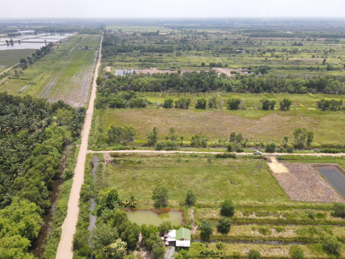 รูป ที่ดินทำเลดีค.13หนองหมูวิหารแดงสระบุรี2-1-71ยกแปลง1790000ใกล้ถนนพหลโยธิน8กมปั้มPT1กมอ.หนองแค8กมรพ.วิหารแดง12กมเข้าออก2ทางฟรีทุกค่าใช้จ่ายจอง30000 - รูปที่ 20/23