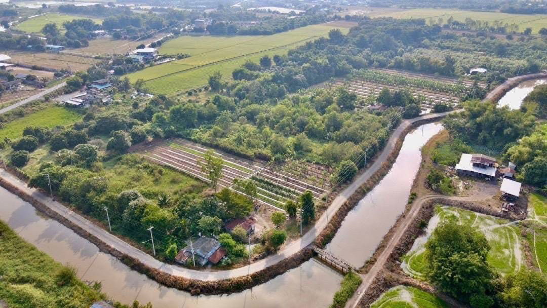 รูป ที่ดินบ้านสวนหนองจรเข้อ.หนองแคสระบุรี2ไร่มี9ล็อกไร่ละ780000ใกล้หนองตะเฆ่400มอ.หนองแค3กมอ.เมืองสระบุรี22กมถนนคอนกรีตน้ำไฟ3เฟสผ่อน2ปี - รูปที่ 19/19