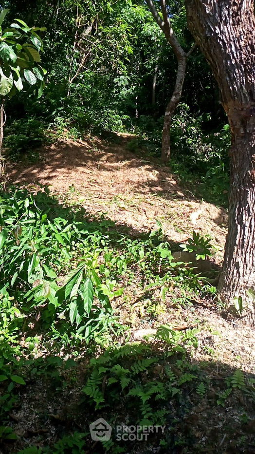 รูป ที่ดินสำหรับปล่อยขาย 3,828 ตารางเมตร แถว ใกล้ เกาะสิเหร่ (ID 1080005) - รูปที่ 10/10