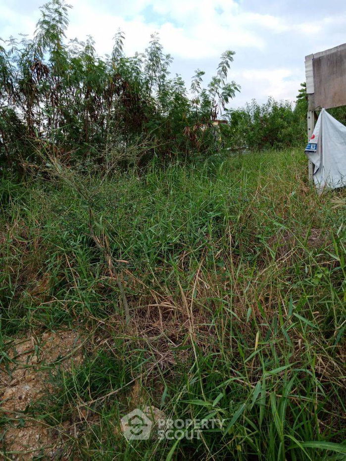 รูป ที่ดินสำหรับปล่อยขาย 556.4 ตารางเมตร แถว ใน บางบัวทอง (ID 1448012) - รูปที่ 6/6