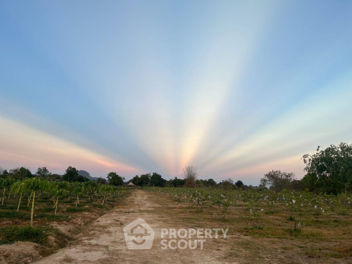 รูป ที่ดินสำหรับปล่อยขาย 8,000 ตารางเมตร แถว ใน วังก์พง (ID 1532197) - รูปที่ 1/4