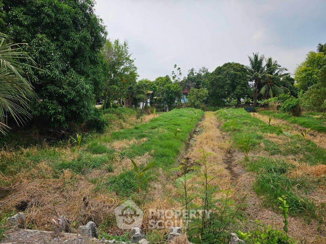 picture 6,668 m² Land for Sale in Bang Khanun (ID 1530175) - 4/9