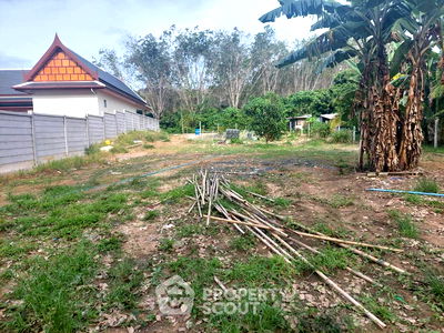 ที่ดิน ถลาง ภูเก็ต : ที่ดินสำหรับปล่อยขาย 950 ตารางเมตร แถว ใน ศรีสุนทร (ID 1976607)