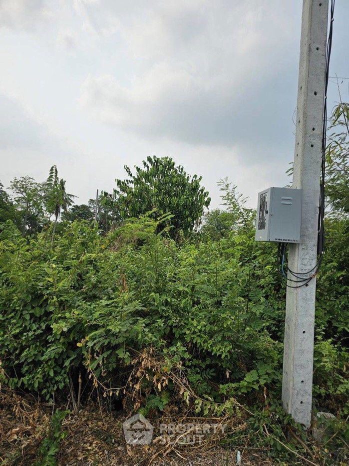 picture 6,668 m² Land for Sale in Bang Khanun (ID 1530175) - 9/9