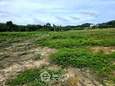 ที่ดิน สนามบินภูเก็ต : ที่ดินสำหรับปล่อยขาย 2,800 ตารางเมตร แถว ใกล้ สนามบินนานาชาติภูเก็ต (ID 2184776)