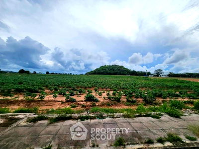 ที่ดิน ถนนทุ่งกลม-ตาหมัน : ที่ดินสำหรับปล่อยขาย 62,028 ตารางเมตร แถว ใกล้ เมืองพัทยา (ID 2056503)